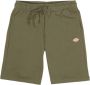 Dickies Casual Bermuda Shorts voor Heren Mapleton Dk0A4Y83 Green Heren - Thumbnail 1