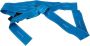 Dolce & Gabbana Belts Blauw Dames - Thumbnail 1