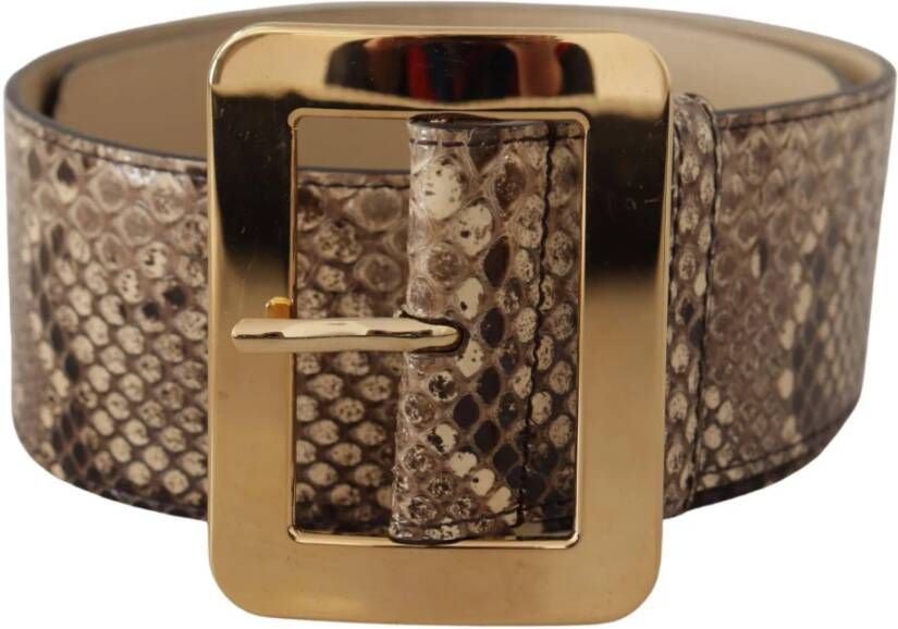 Dolce & Gabbana Exotische brede taille leren gouden metalen gesp riem Brown Dames
