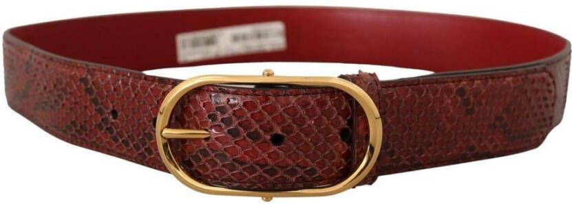 Dolce & Gabbana Belts Rood Unisex