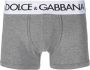 Dolce & Gabbana Grijze Stretch Katoenen Boxershorts voor Heren Gray Heren - Thumbnail 1