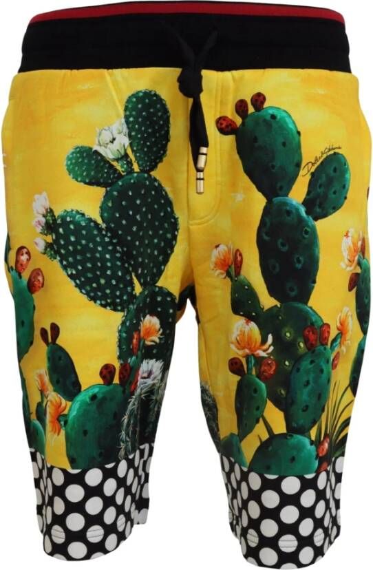 Dolce & Gabbana Multicolor Cactus Print Katoenen Sweat Shorts Multicolor Heren