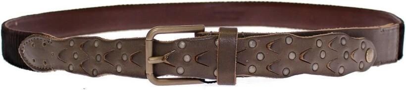 Dolce & Gabbana Luxe Bruin Leren Logo Riem Brown - Foto 6