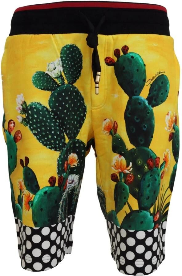 Dolce & Gabbana Multicolor Cactus Print Katoenen Sweat Shorts Multicolor Heren - Foto 3