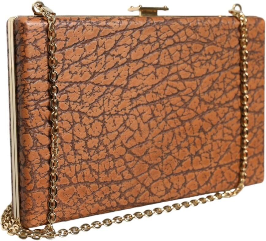 Dolce & Gabbana Gouden Frame Mini Crossbody Tas met Kaartsleuven Brown Dames