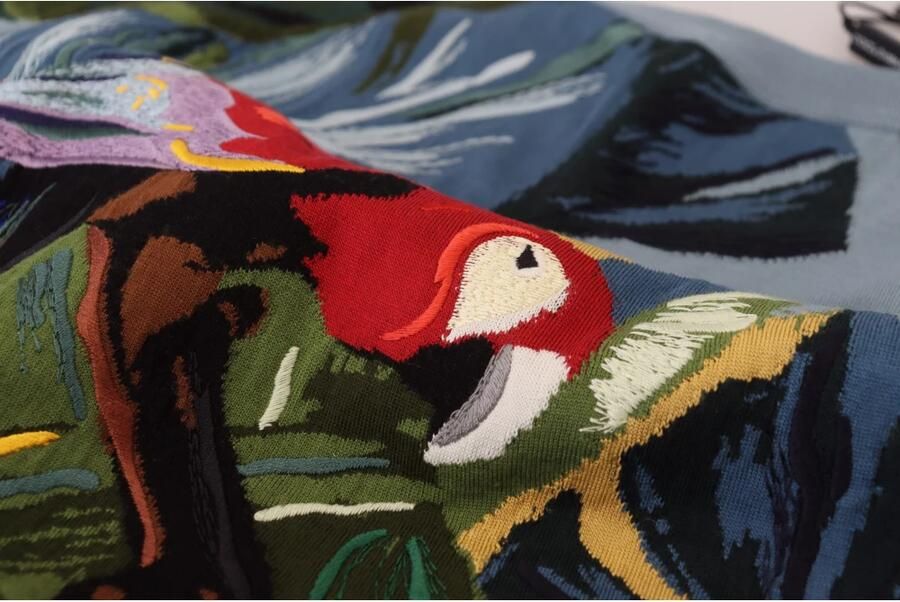 Dolce & Gabbana Multicolor Jungle Geborduurde Trui Multicolor Heren - Foto 5