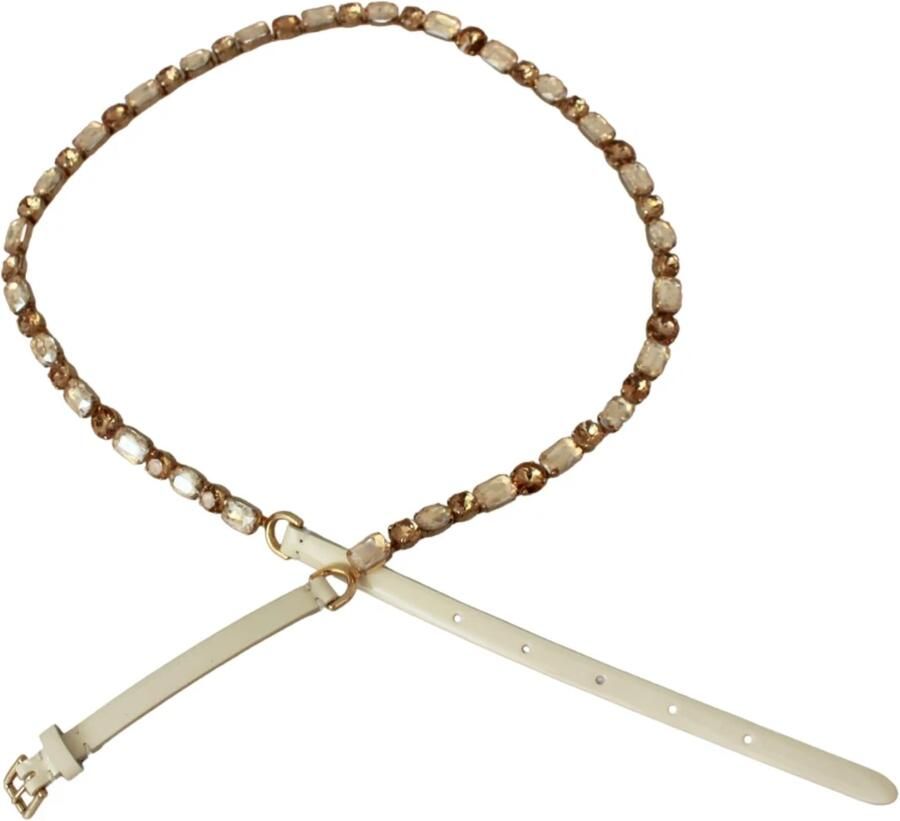 Dolce & Gabbana Kristallen Versierde Riem Dames Wit met Champagne Kristallen White Dames - Foto 4