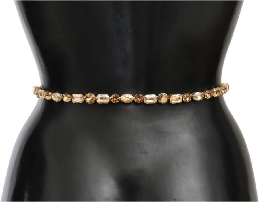 Dolce & Gabbana Kristallen Versierde Riem Dames Wit met Champagne Kristallen White Dames - Foto 2