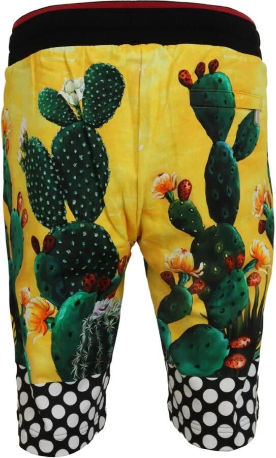 Dolce & Gabbana Multicolor Cactus Print Katoenen Sweat Shorts Multicolor Heren