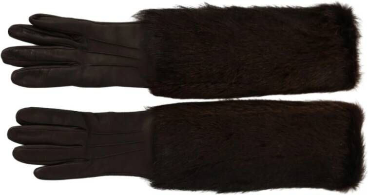 Dolce & Gabbana Handschoenen Bruin Dames