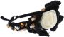 Dolce & Gabbana Wit Roos Kristal Haar Gouden Hoofdband Black Dames - Thumbnail 1
