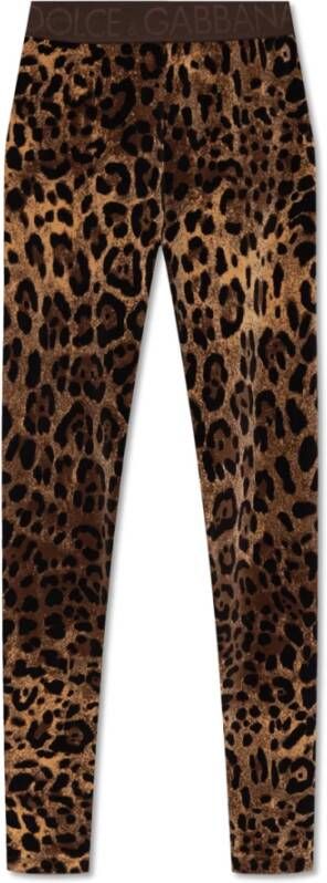 Dolce & Gabbana Animalier Velour Leggings in Bruin Brown Dames