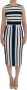 Dolce & Gabbana Blauw Wit Gestreepte Zijden Sheath Jurk Multicolor Dames - Thumbnail 1