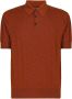 Dolce & Gabbana Bruine Zijden Poloshirt voor Heren Brown Heren - Thumbnail 1