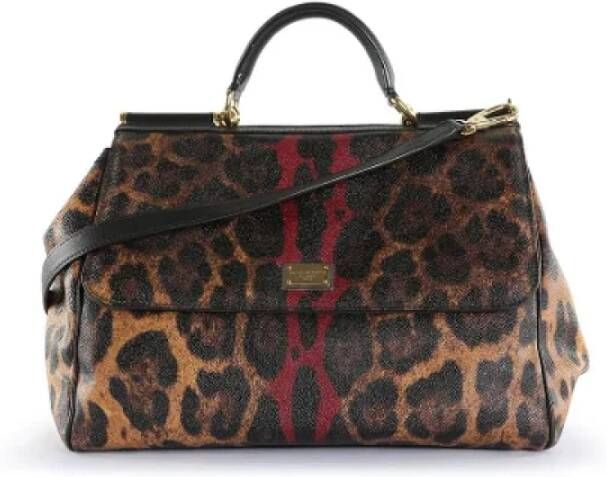 Dolce & Gabbana Pre-owned Coated canvas handbags Bruin Dames