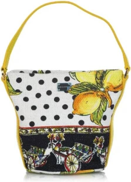 Dolce & Gabbana Pre-owned Fabric handbags Wit Dames