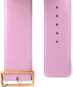 Dolce & Gabbana Pre-owned Leather belts Roze Dames