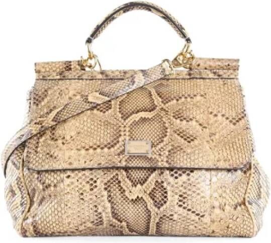 Dolce & Gabbana Pre-owned Leather handbags Meerkleurig Dames