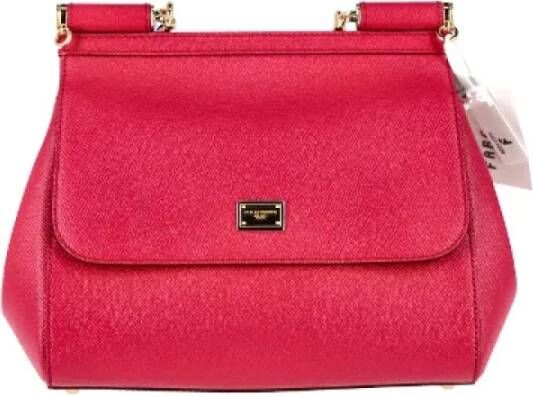 Dolce & Gabbana Pre-owned Leather handbags Roze Dames