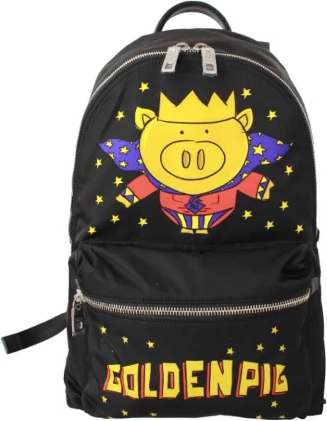 Dolce & Gabbana Pre-owned Fabric backpacks Zwart Heren