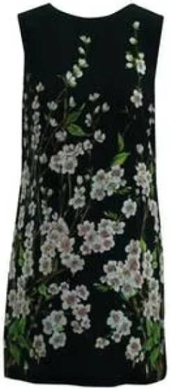 Dolce & Gabbana Pre-owned Fabric dresses Zwart Dames