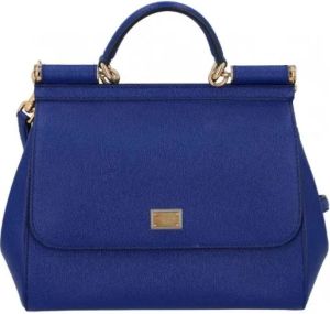 Dolce & Gabbana Pre-owned Pre-owned Leather handbags Blauw Dames