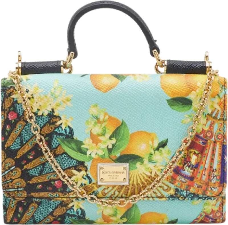 Dolce & Gabbana Pre-owned Leather handbags Meerkleurig Dames
