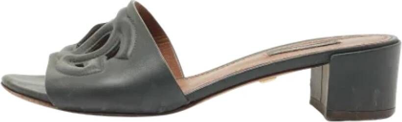 Dolce & Gabbana Pre-owned Sandalen Groen Dames