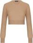 Dolce & Gabbana Luxe Cashmere-Blend Cropped Jumper Brown Dames - Thumbnail 1