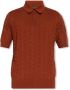 Dolce & Gabbana Bruine Zijden Poloshirt voor Heren Brown Heren - Thumbnail 3