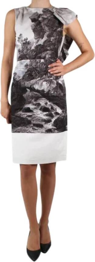 Dries van Noten Pre-owned Cotton dresses Grijs Dames