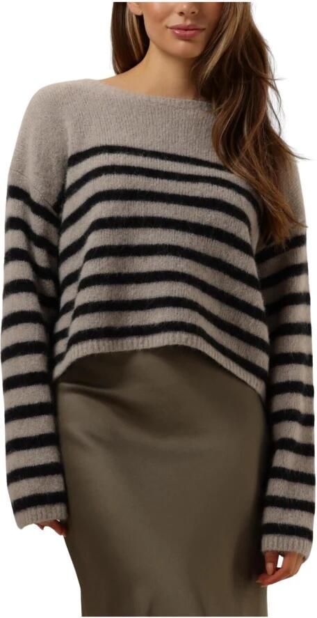 Drykorn Bruine Sweaters & Vesten Imeny Multicolor Dames - Foto 3