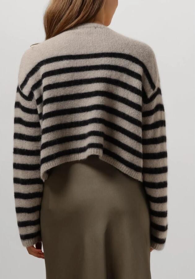 Drykorn Bruine Sweaters & Vesten Imeny Multicolor Dames - Foto 2