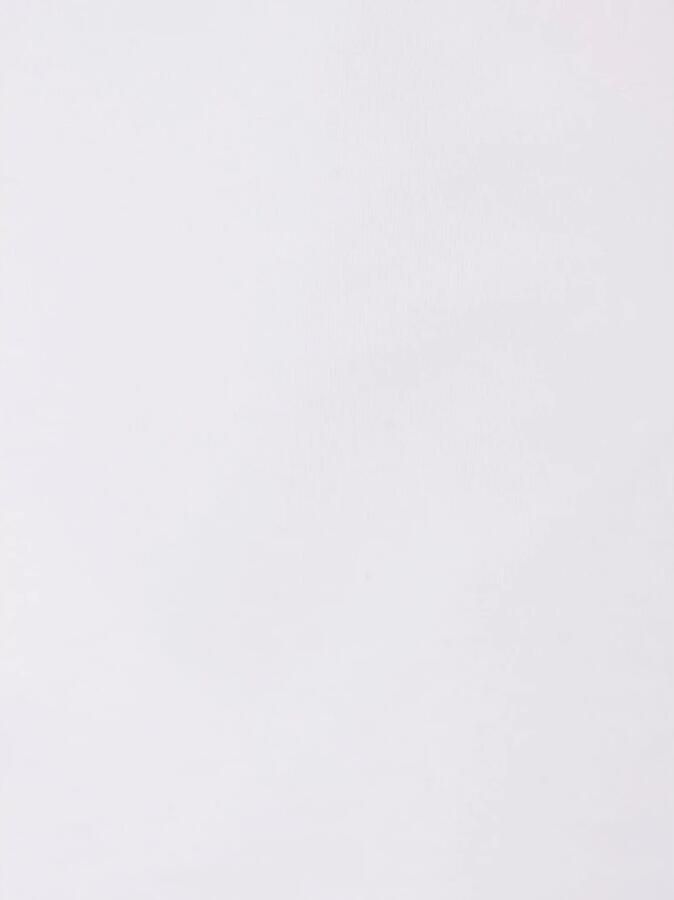Dsquared2 Witte Katoenen Print Ronde Hals T-shirt White Heren - Foto 4