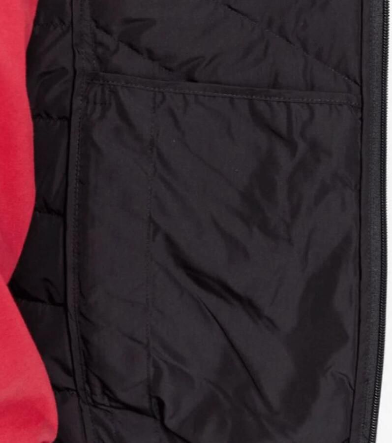 Emporio Armani EA7 Zwarte Opvouwbare Ganzendons Buitenkleding Black Heren - Foto 2