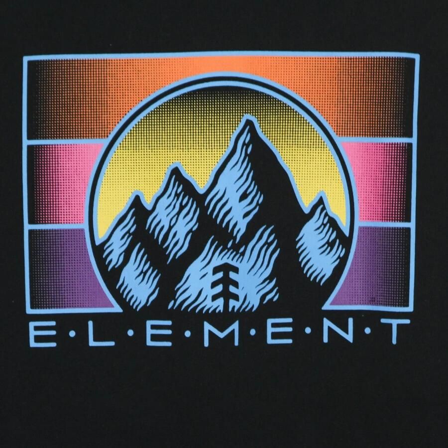 Element Hoodie Palazzo Hood Flint Zwart Black Heren