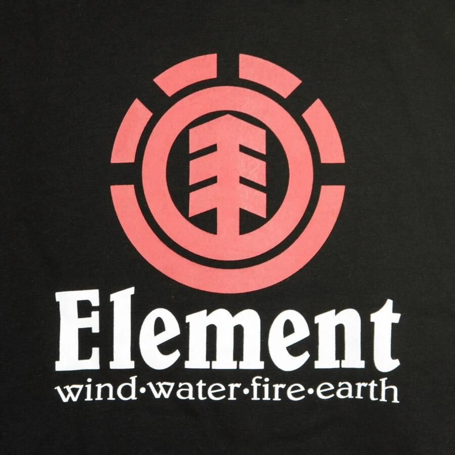 Element Verticale Hoodie Zwart Black Heren