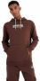Ellesse Hoodies Bruin Heren - Thumbnail 1