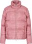 Emporio Armani EA7 Korte donsjas Monogram Allover Pink Dames - Thumbnail 1