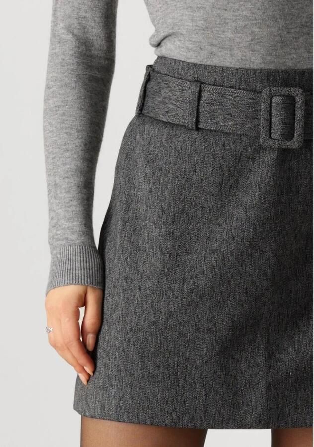 Envii Grijze Minirok voor veelzijdige outfits Gray Dames