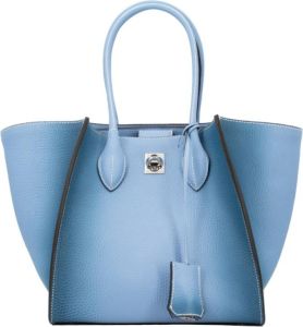 Ermanno Scervino Handbags Blauw Dames