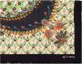 ETRO Scarves Groen Dames - Thumbnail 1