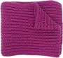 ETRO Winter Scarves Purple Dames - Thumbnail 1