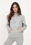 Adidas Originals Hoodie ADICOLOR ESSENTIALS FLEECE-HOODY - Thumbnail 8
