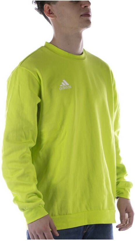 Adidas Sweatshirt Groen Heren