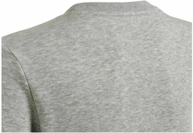 Adidas Sweatshirts Grijs Dames