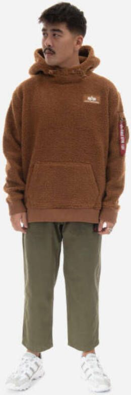 alpha industries Hoodies Bruin Heren