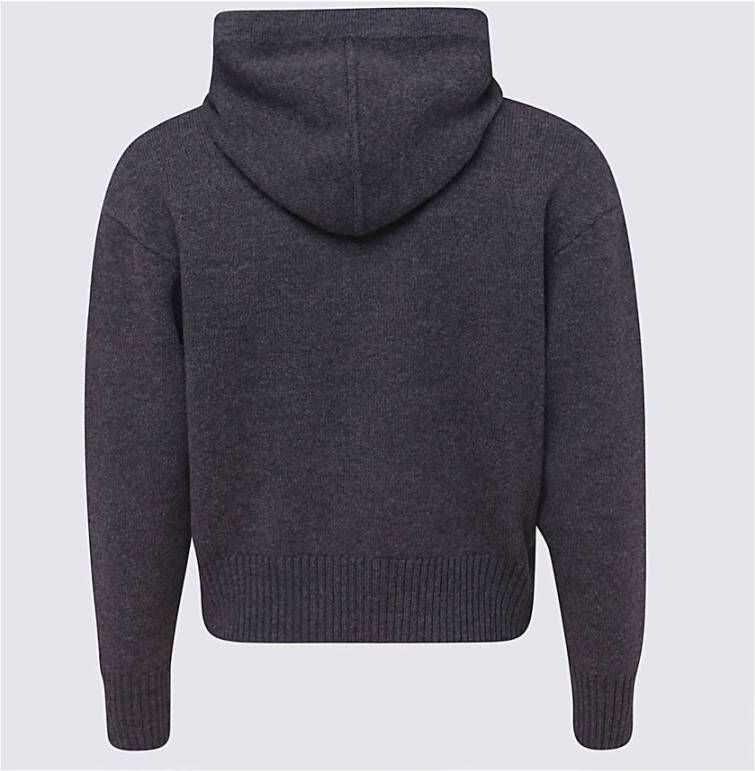Ami Paris Hoodie Grijs Heren