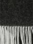 A.p.c. Wollen sjaal met franjes en uitgebreide logoprint Black - Thumbnail 4