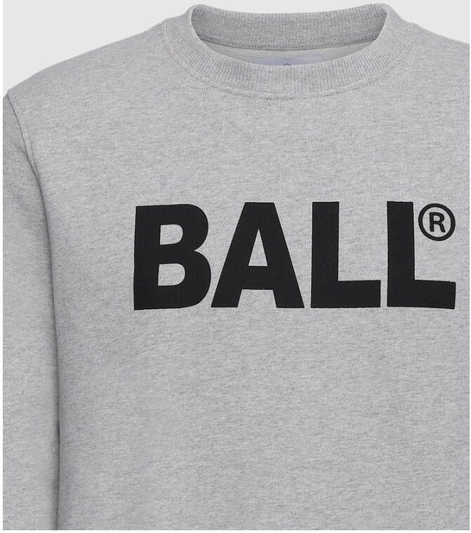 Ball Sweatshirt R. Lott Grijs Heren